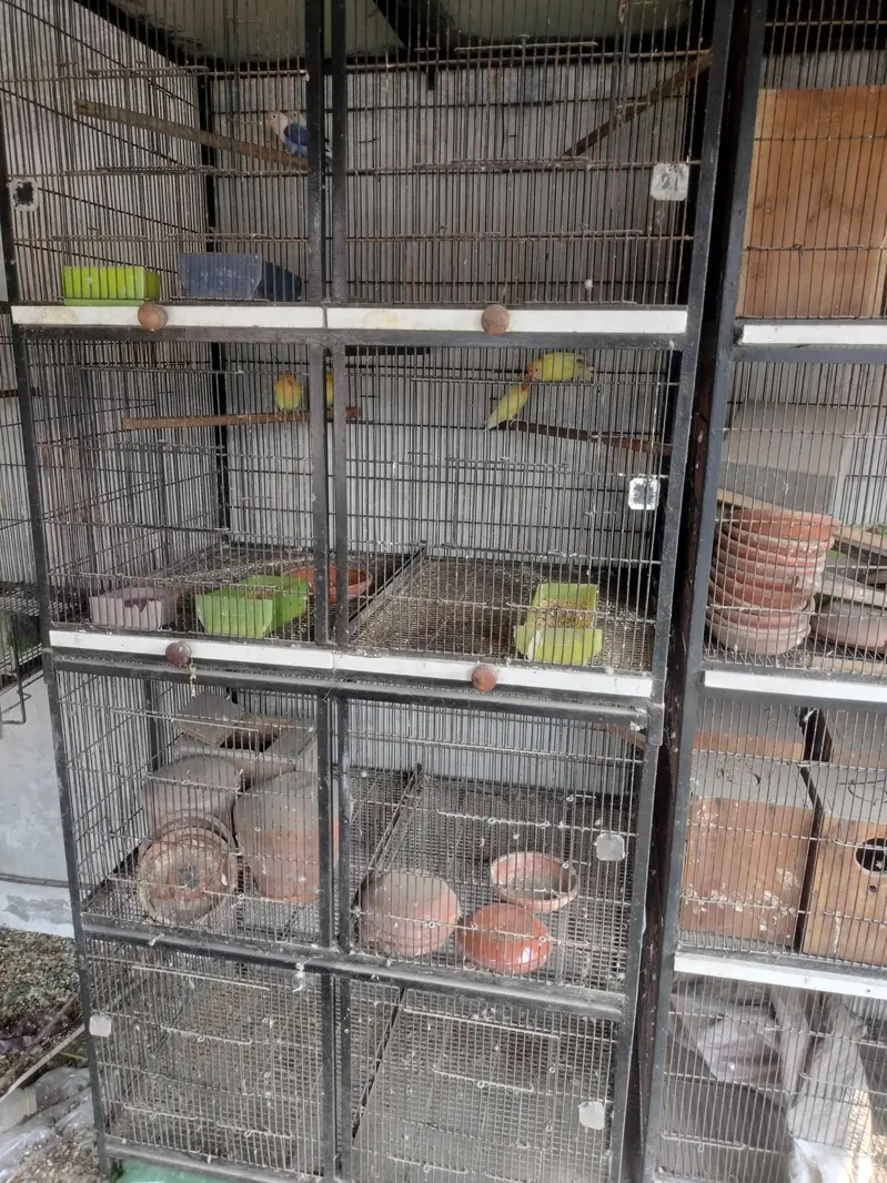 8 portion 2 cages for sale — photo 3