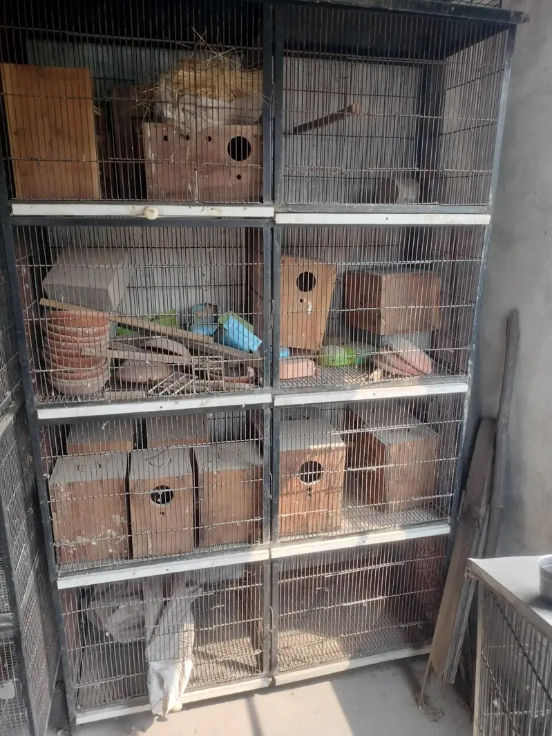 8 portion 2 cages for sale — photo 4