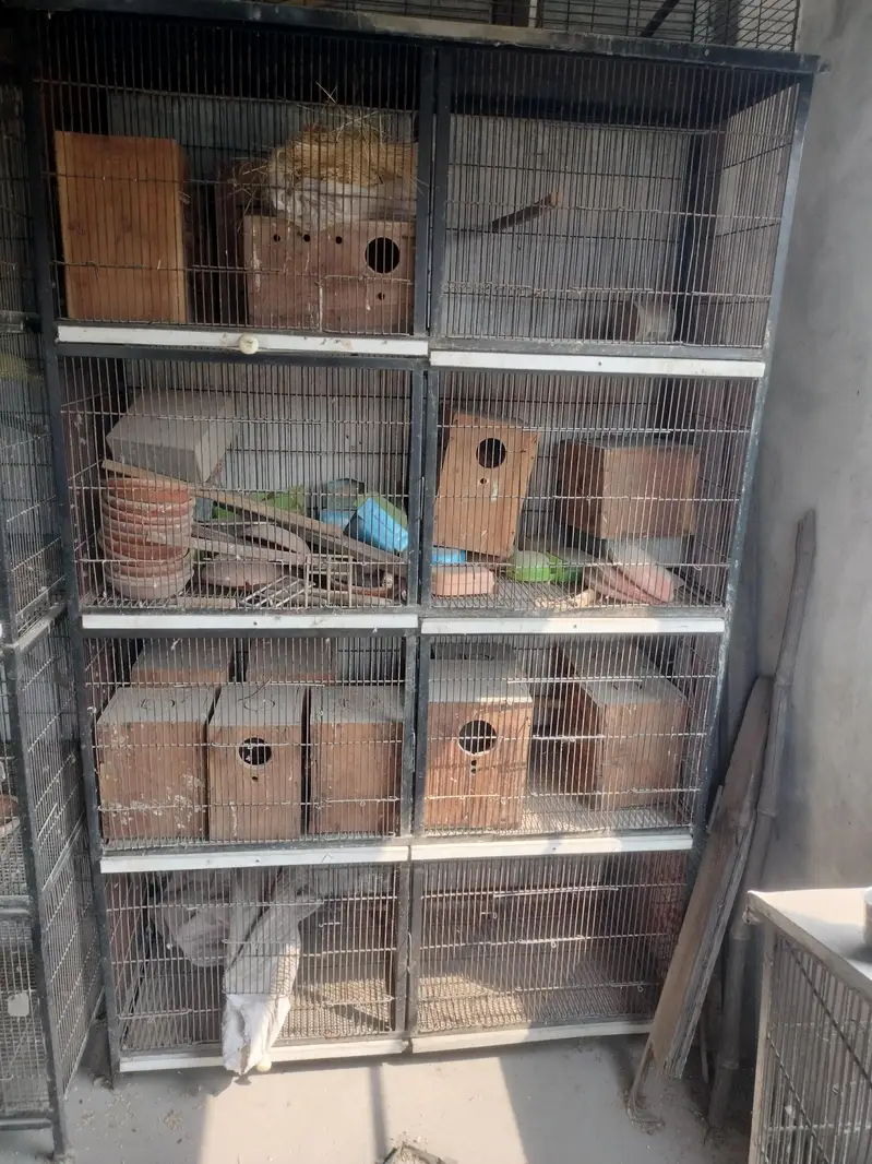 8 portion 2 cages for sale — photo 5