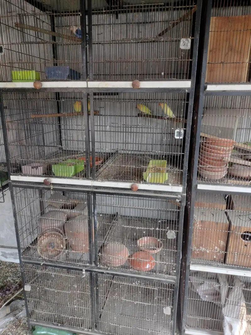 8 portion 2 cages for sale — photo 6