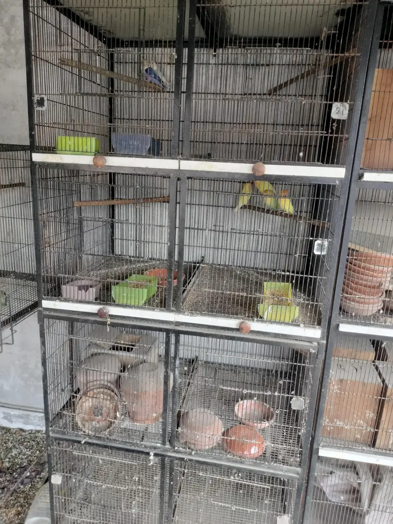 8 portion 2 cages for sale — photo 7
