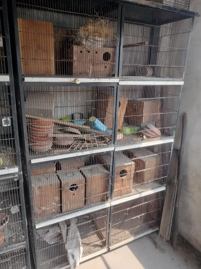 8 portion 2 cages for sale — photo 8