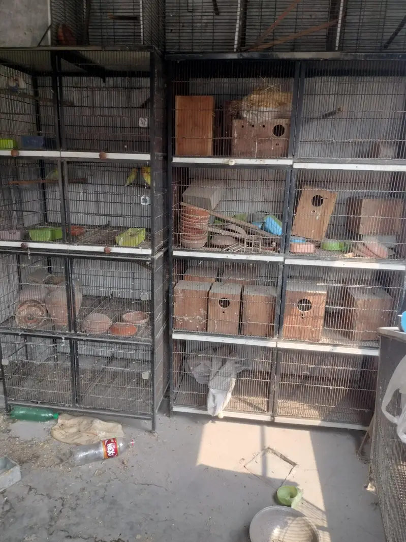 8 portion 2 cages for sale — photo 9