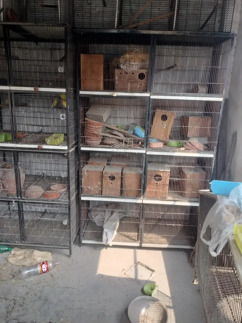 8 portion 2 cages for sale — photo 10