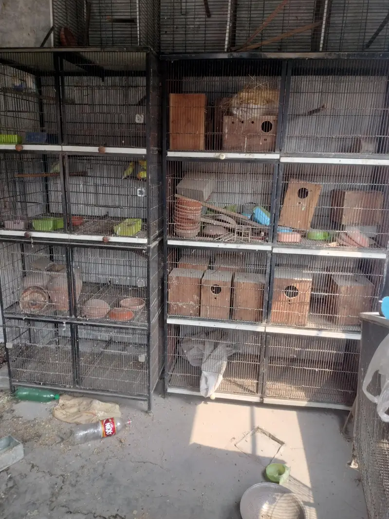 8 portion 2 cages for sale — photo 11