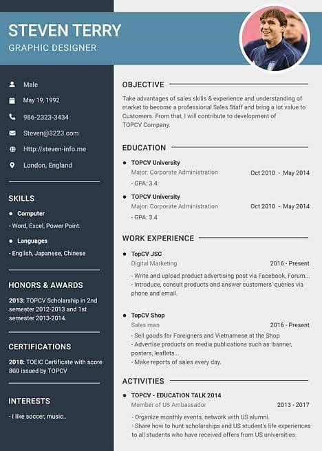 Professional CV 1
