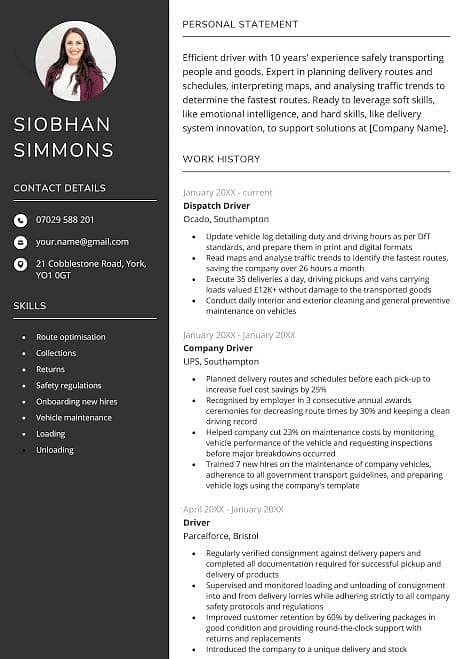 Professional CV 2