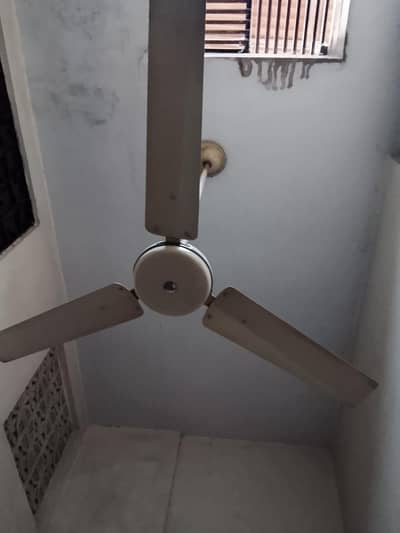 ceiling fan Indus cooper