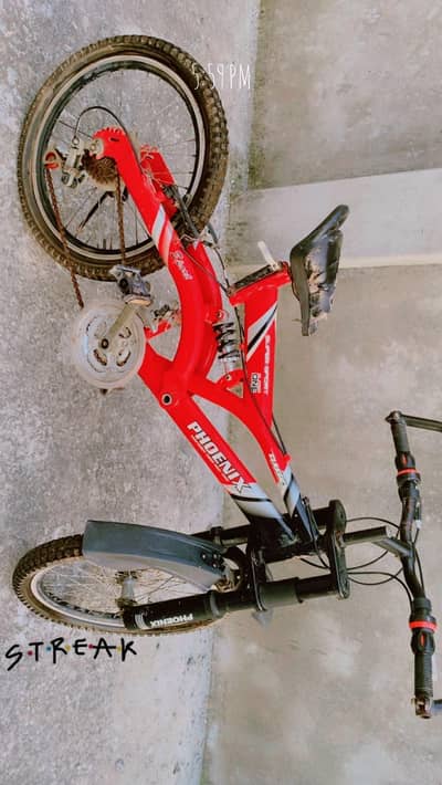 Sports bicycle with gears
