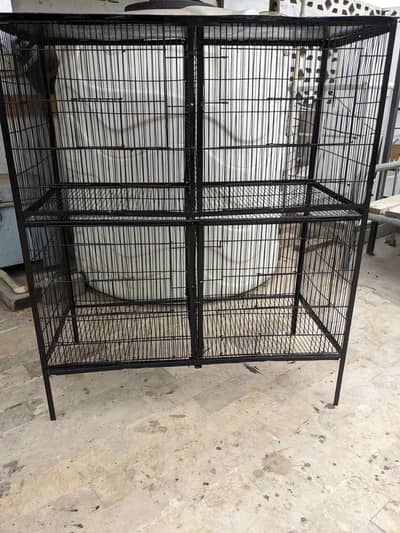 Cage Pinjra hen birds