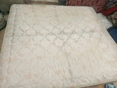 Master MoltyFoam Pocket spring ( Eterna Firm ) Mattress
