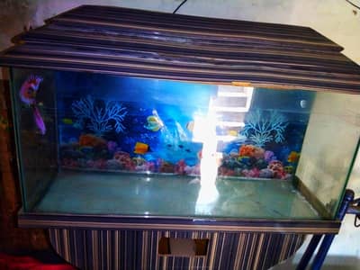 Aquarium