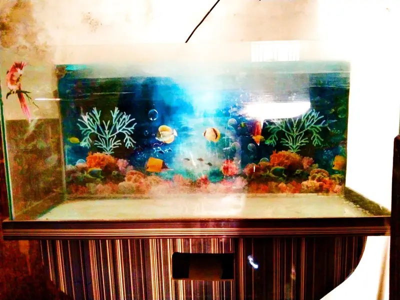 Aquarium — photo 8