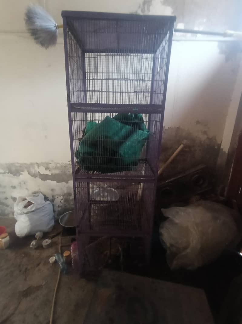 برڈ کیج 0