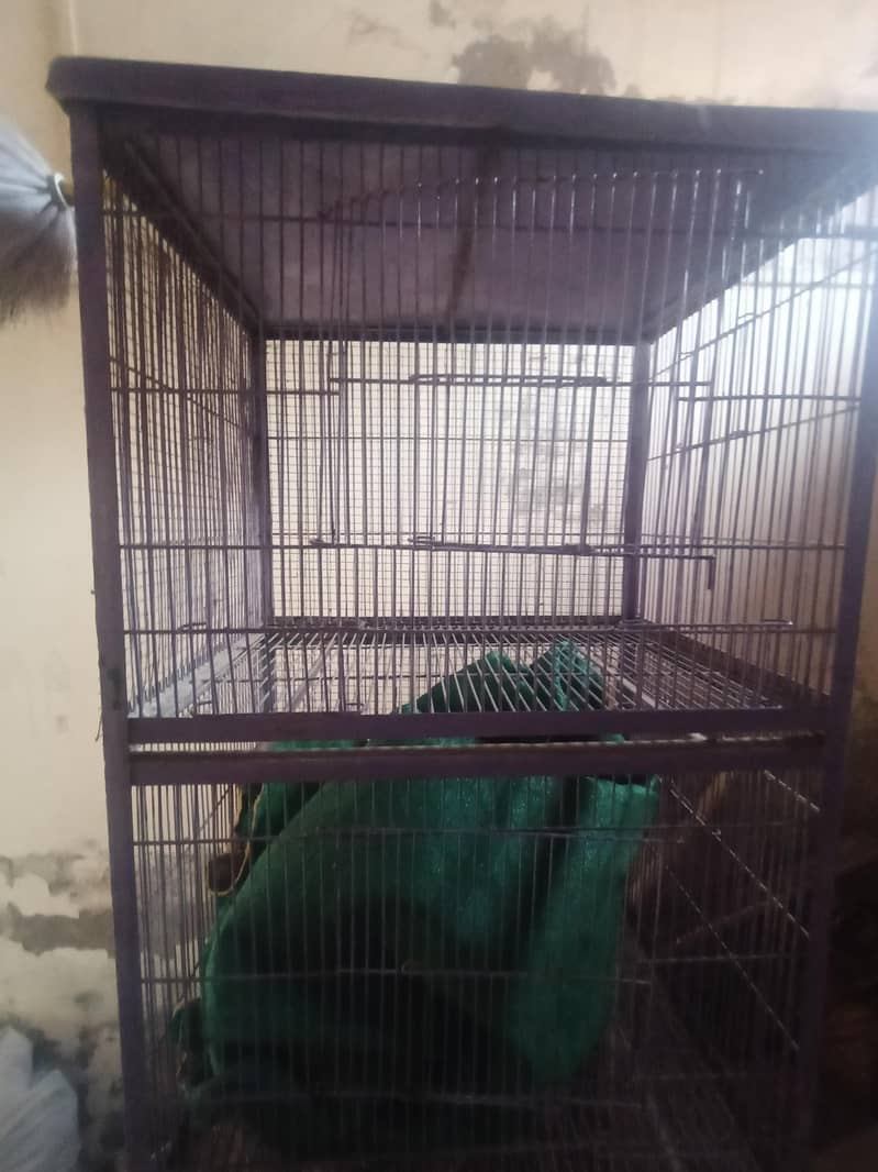 برڈ کیج 1