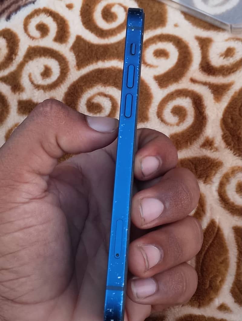 Apple iPhone 12 1