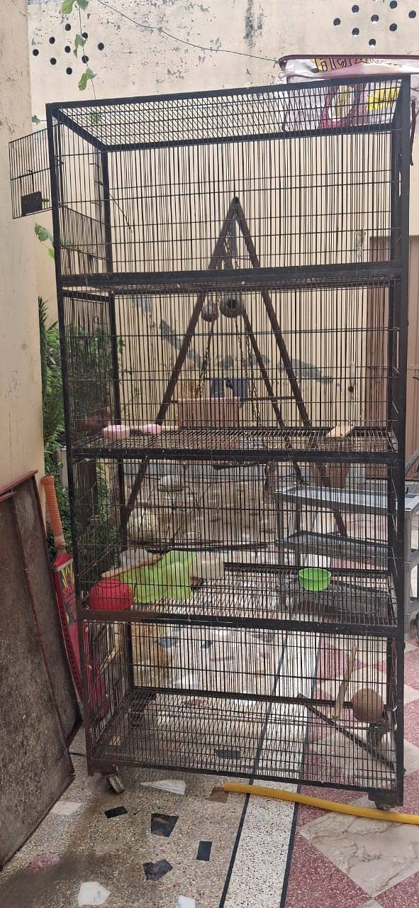 Ironwire cage 0