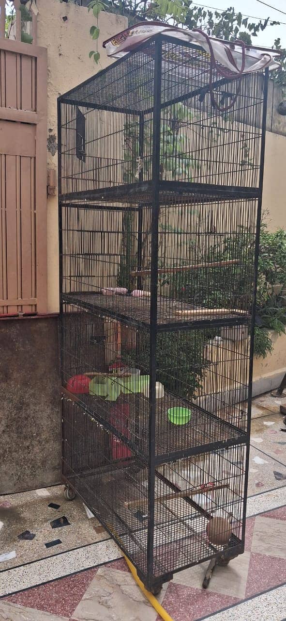 Ironwire cage 1