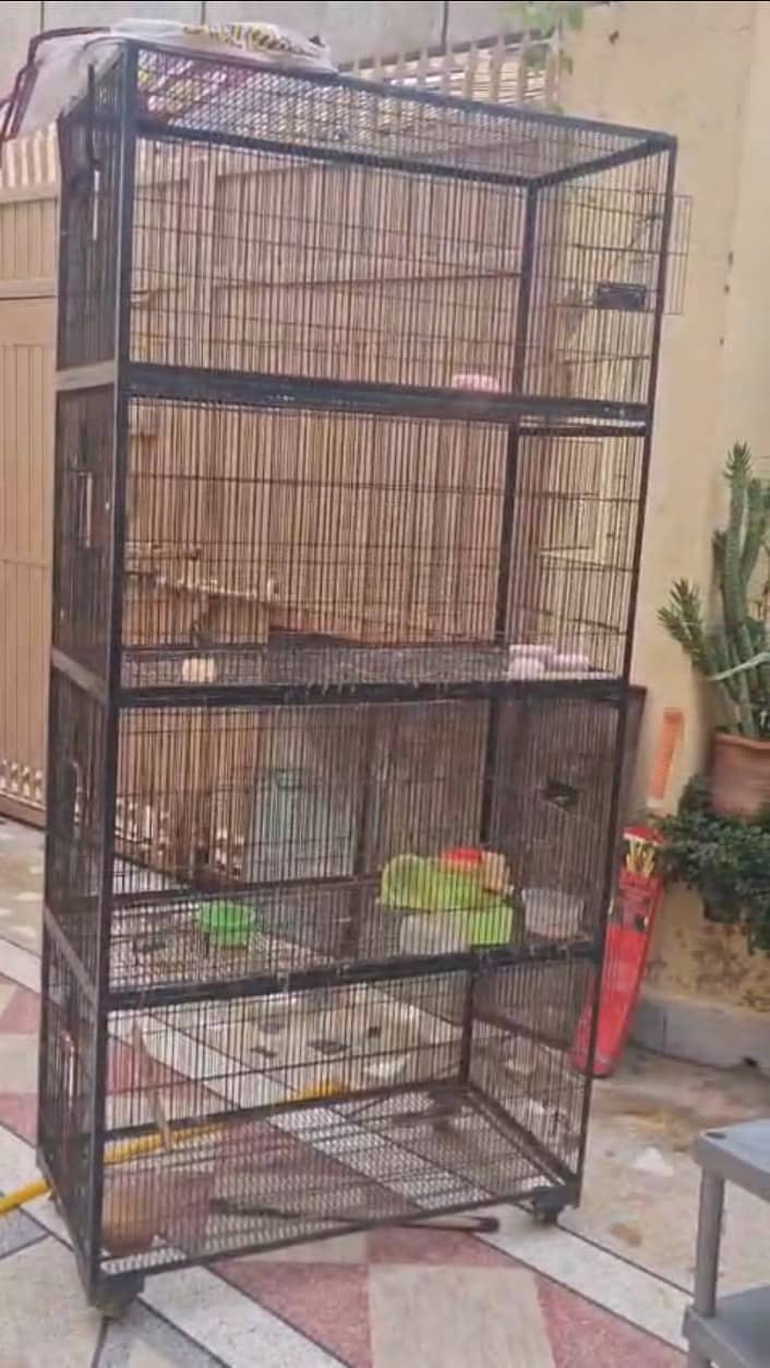Ironwire cage 4