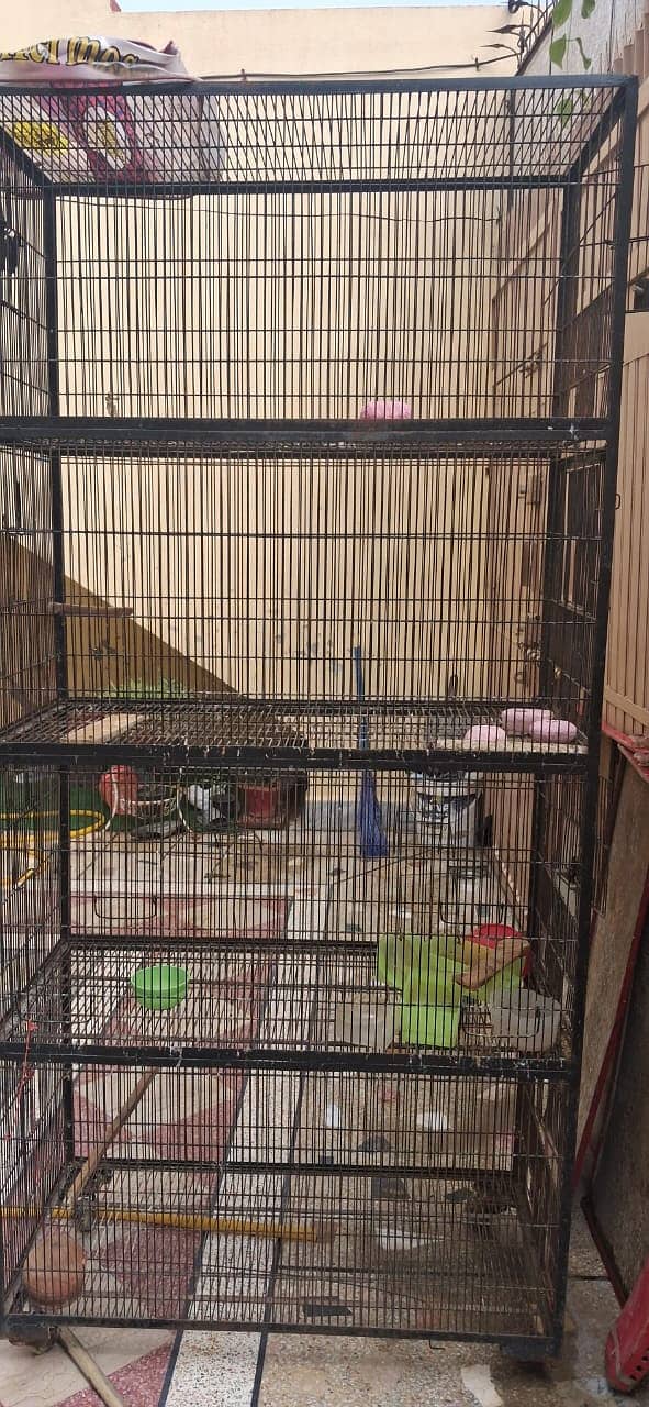 Ironwire cage 5