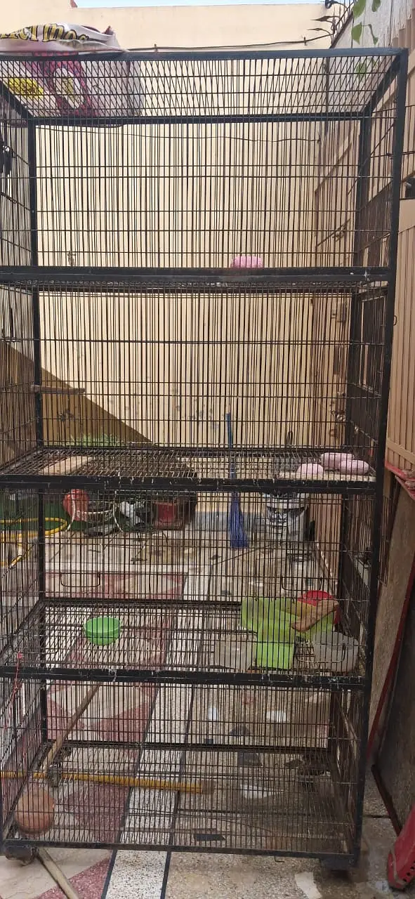Ironwire cage — photo 6