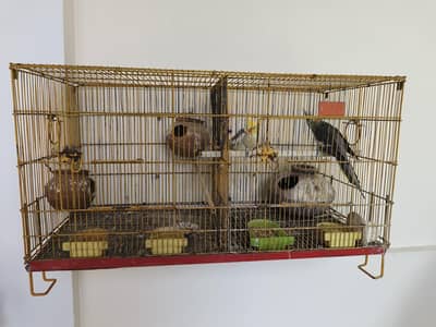 Cocktail Pair with Cage