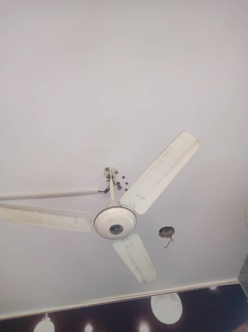 Ceiling Fan 2
