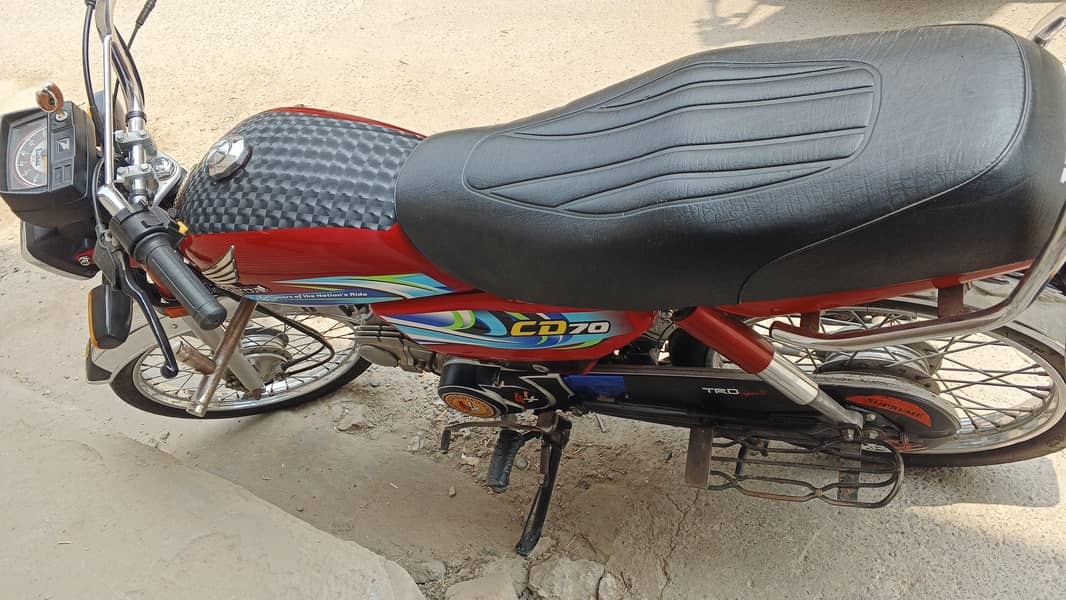CD70cc 1