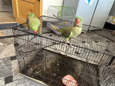 Hand train for sale
