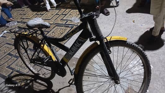 Unisex bicycle