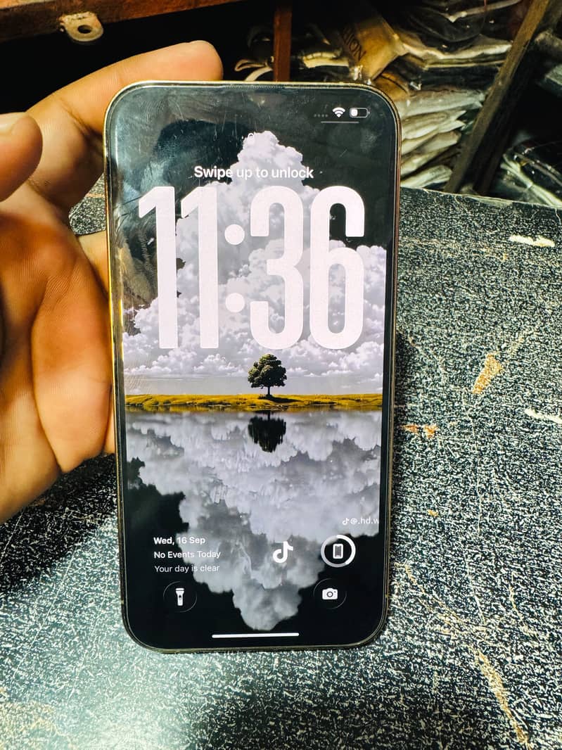 Apple iPhone 13 Pro Max 1