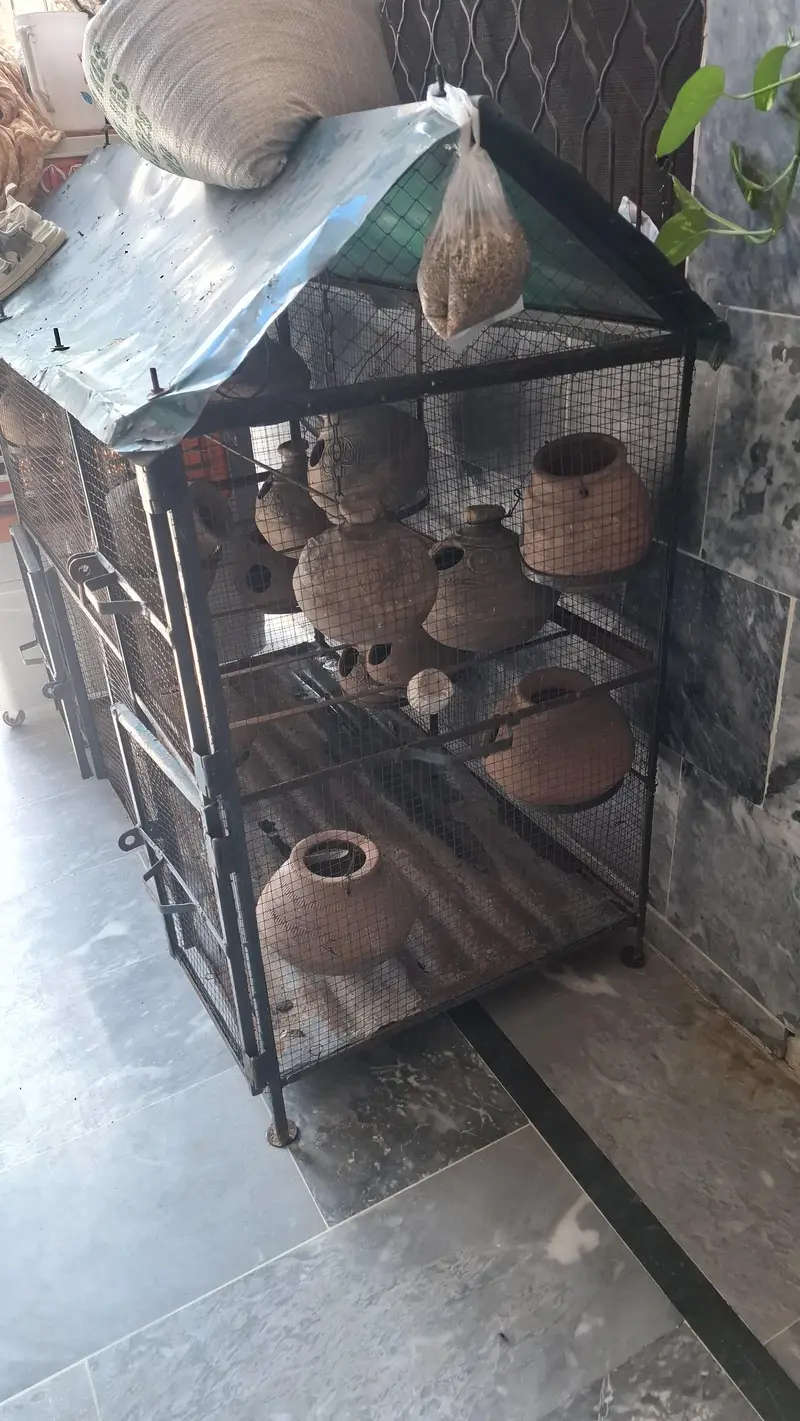 Parrot/Pegeon Cage (full metal) — photo 2