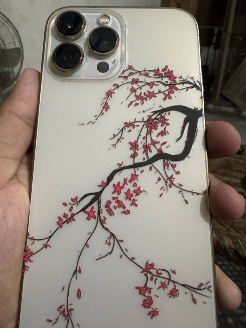 Apple iPhone 13 Pro Max 0