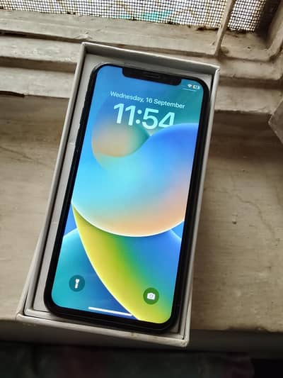 Apple iPhone X