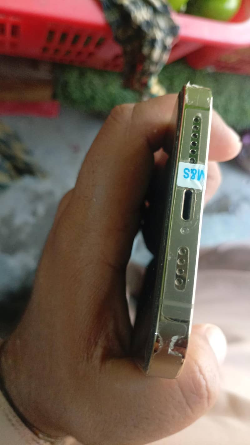 Apple iPhone 13 Pro Max 1