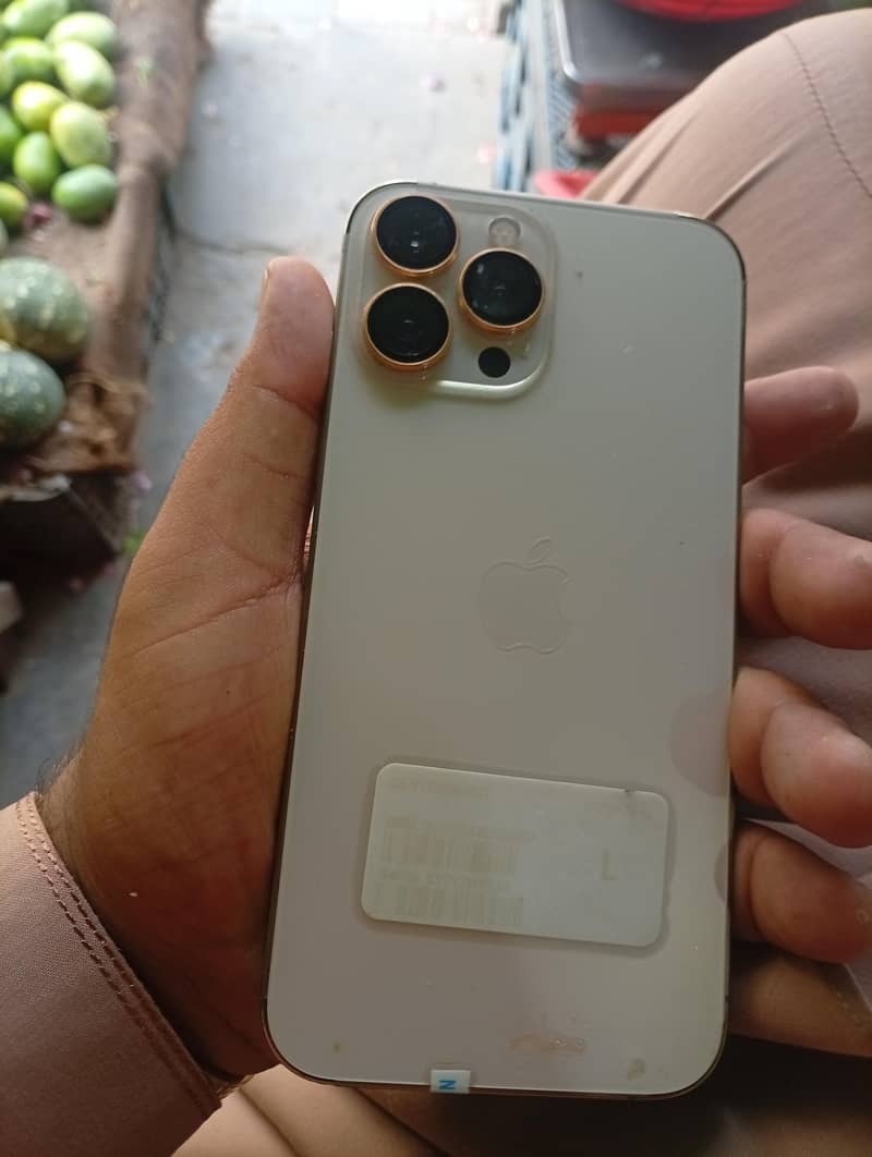 Apple iPhone 13 Pro Max 2