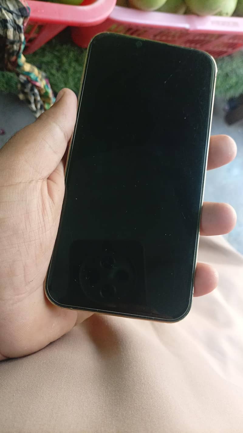Apple iPhone 13 Pro Max 4