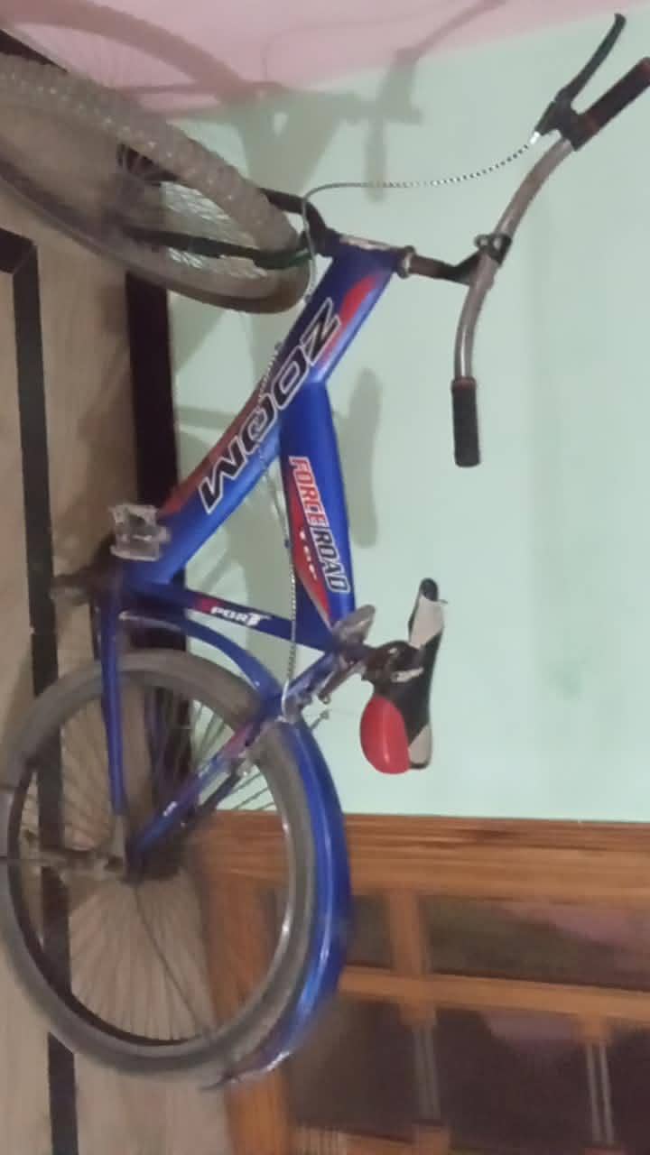 Bicycle 1