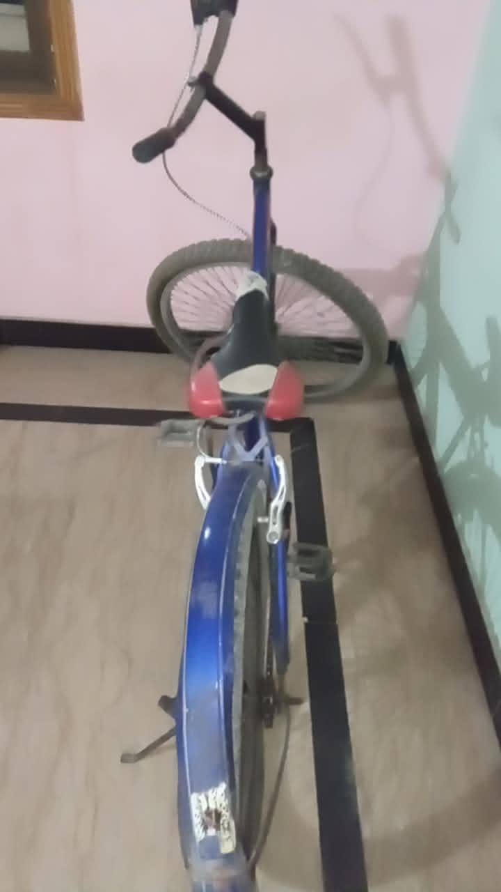 Bicycle 2