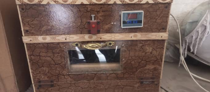incubator