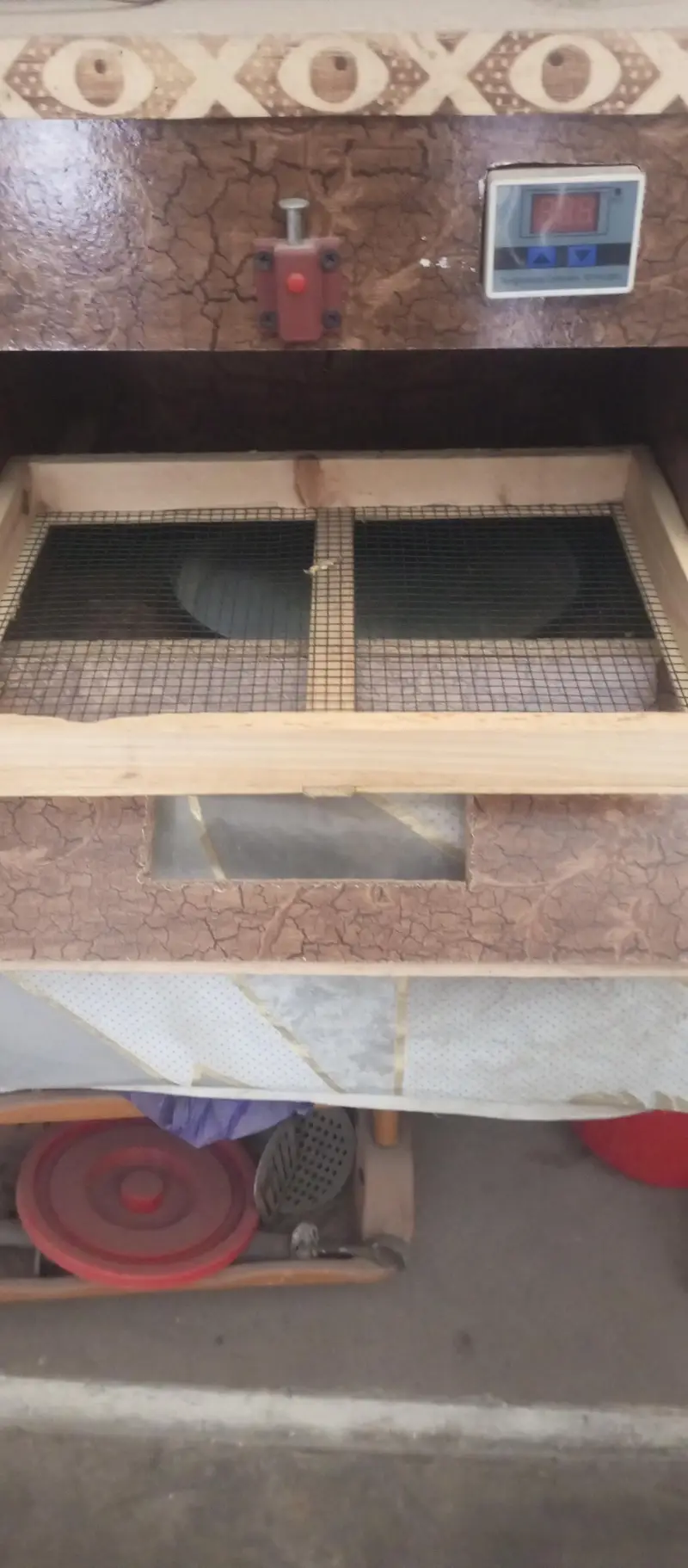 incubator — photo 2