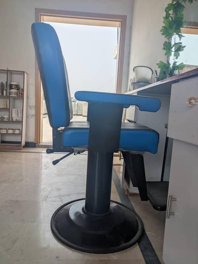 Salon Chair