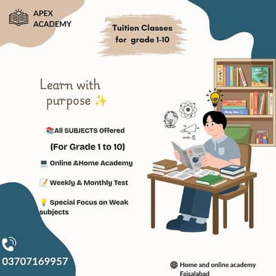 APEX ACADEMY (Learn With Purpose)