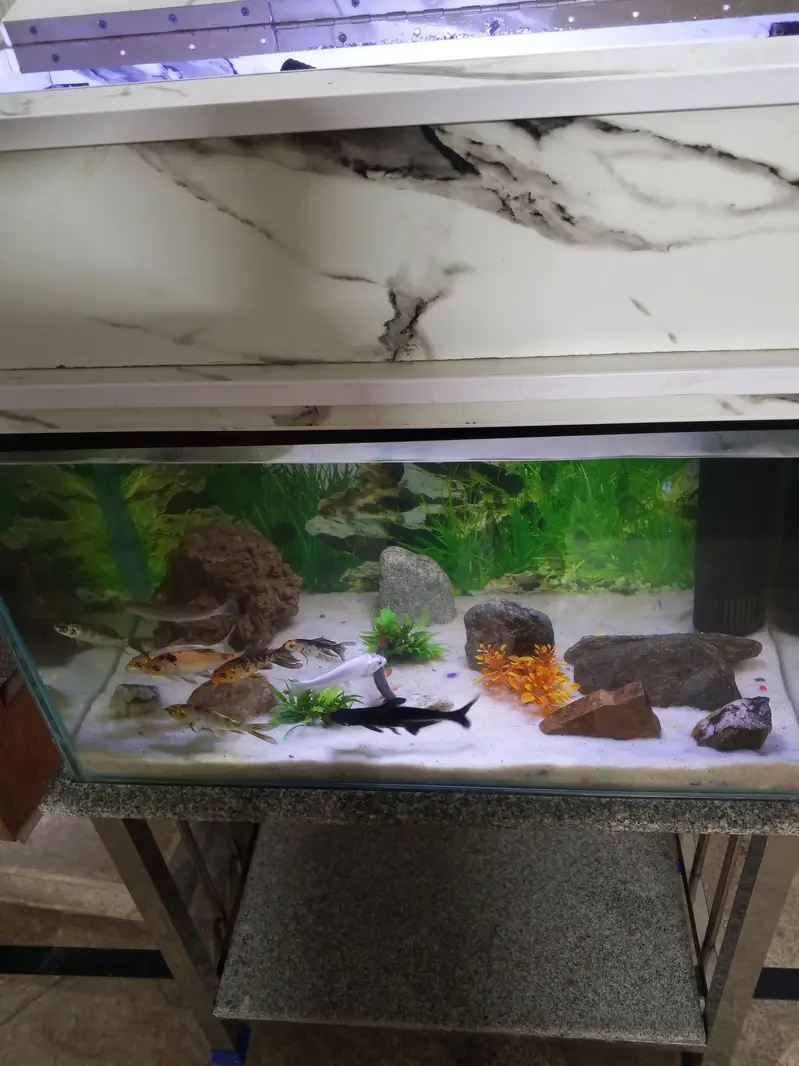 Fish tank,height 1.5 fit length 2.5 fit width 16 Inch — photo 2