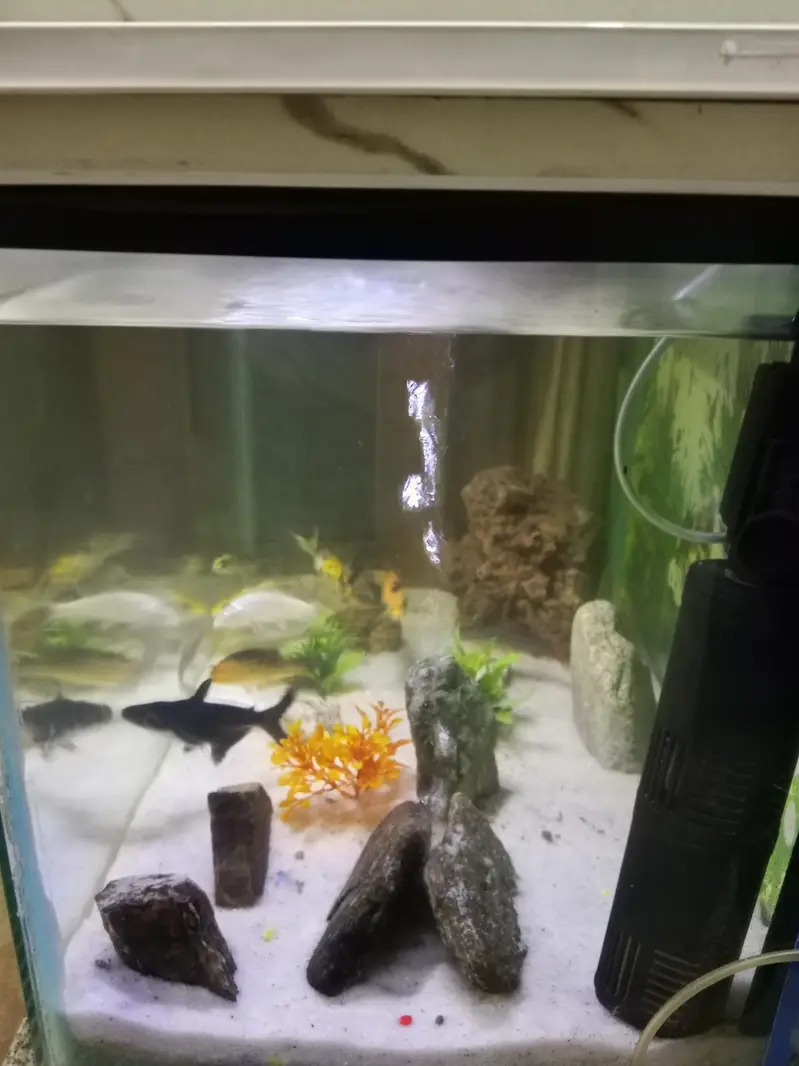 Fish tank,height 1.5 fit length 2.5 fit width 16 Inch — photo 3