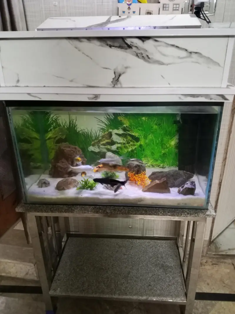 Fish tank,height 1.5 fit length 2.5 fit width 16 Inch — photo 5