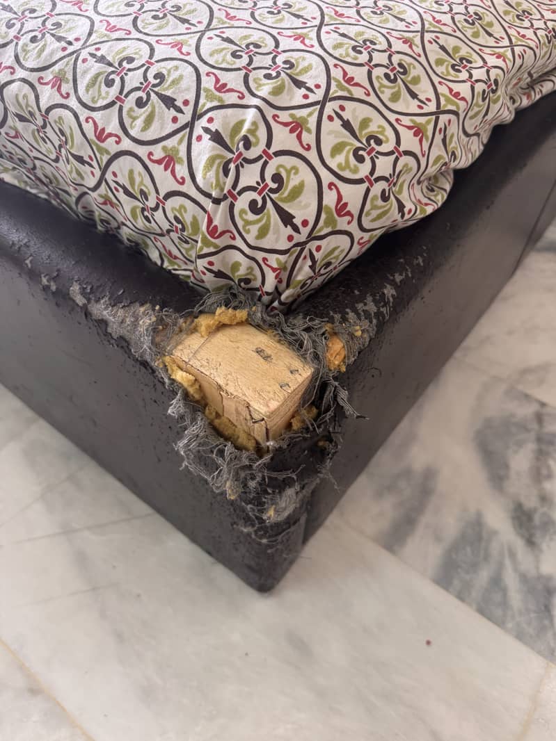 Modern Imported Bed 5