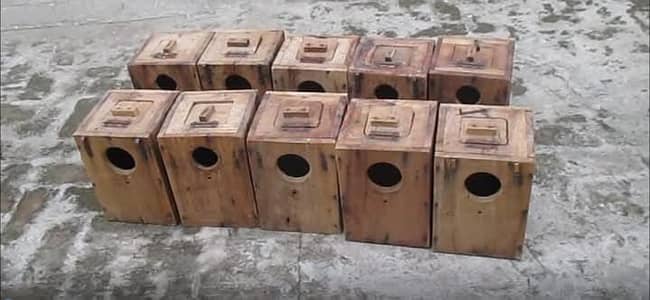 Breeding boxes