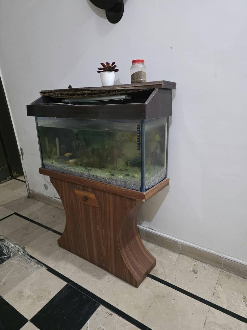 Fish aquarium 1