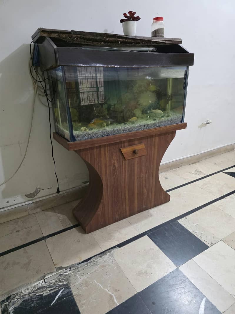 Fish aquarium 2
